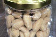 JK-Pet-Jaipur-21-min